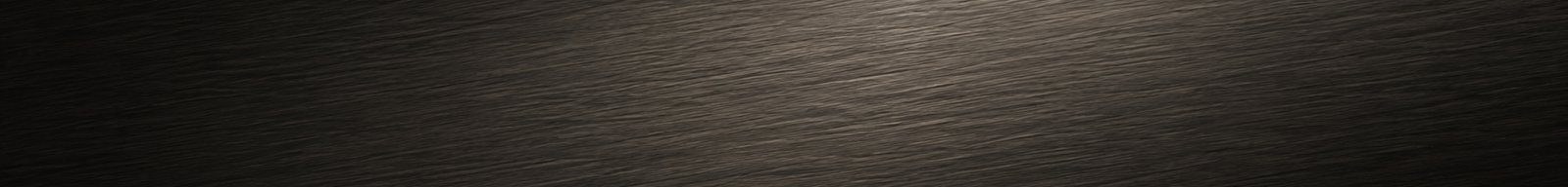 meltonia shop banner